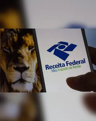 Prazo para Declaração do Imposto de Renda 2025 começa dia 17 - Imagem