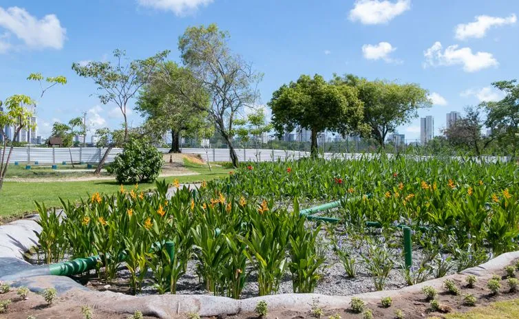 ONU apresenta soluções urbanas brasileiras para países do Sul Global