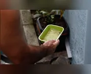 El Niño pode aumentar casos de chikungunya e dengue no Brasil